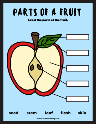 science worksheet for kindergarten