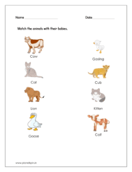 Kindergarten Worksheet Science Planetspin in Worksheets Library