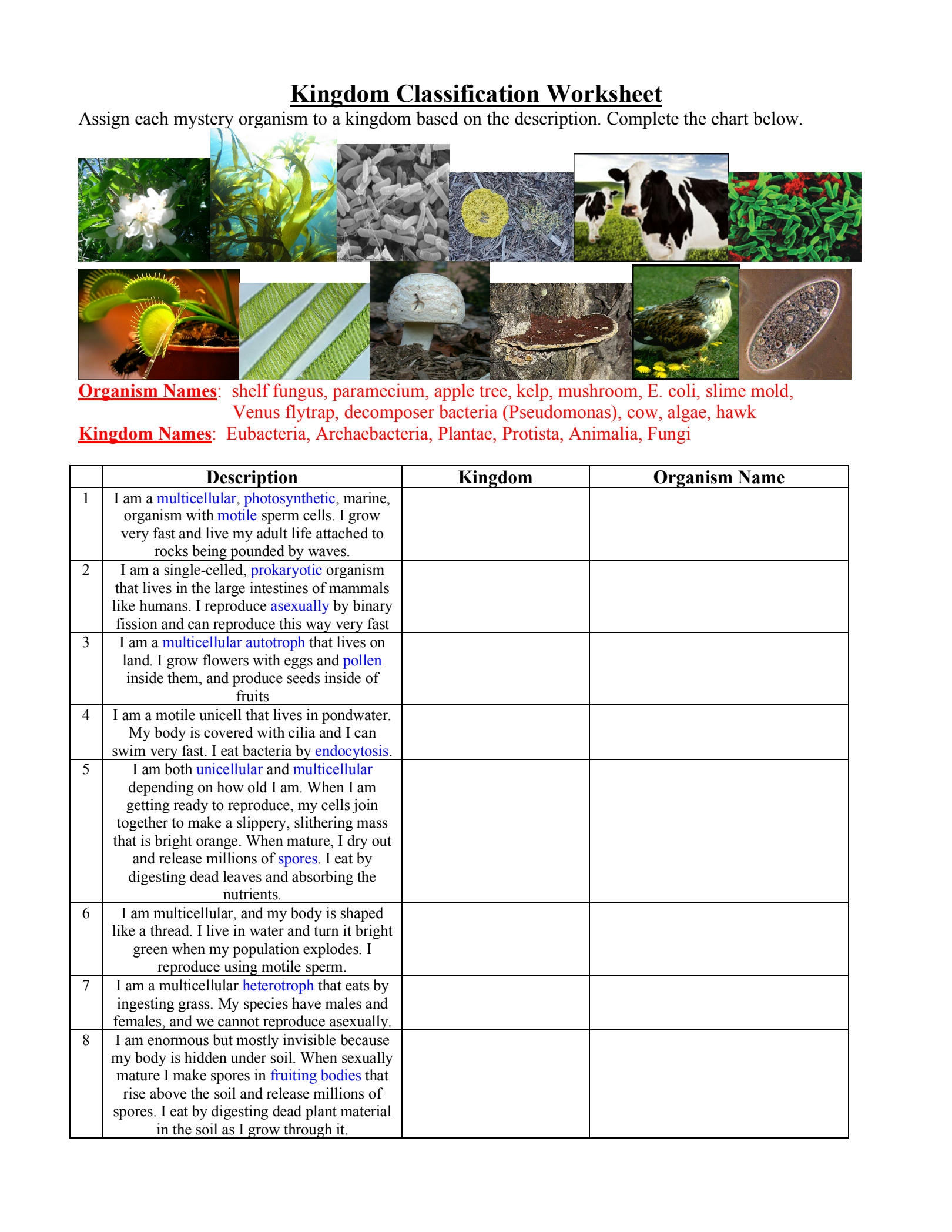 Kingdom Classification Worksheet Use Techn doc Kingdom 