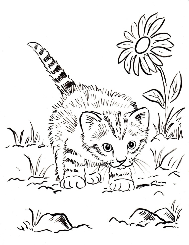 Adorable Kitten Coloring Pages