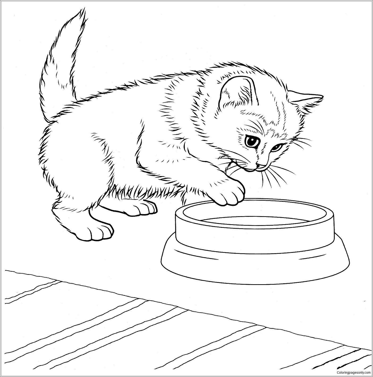 Coloring Page Kitten