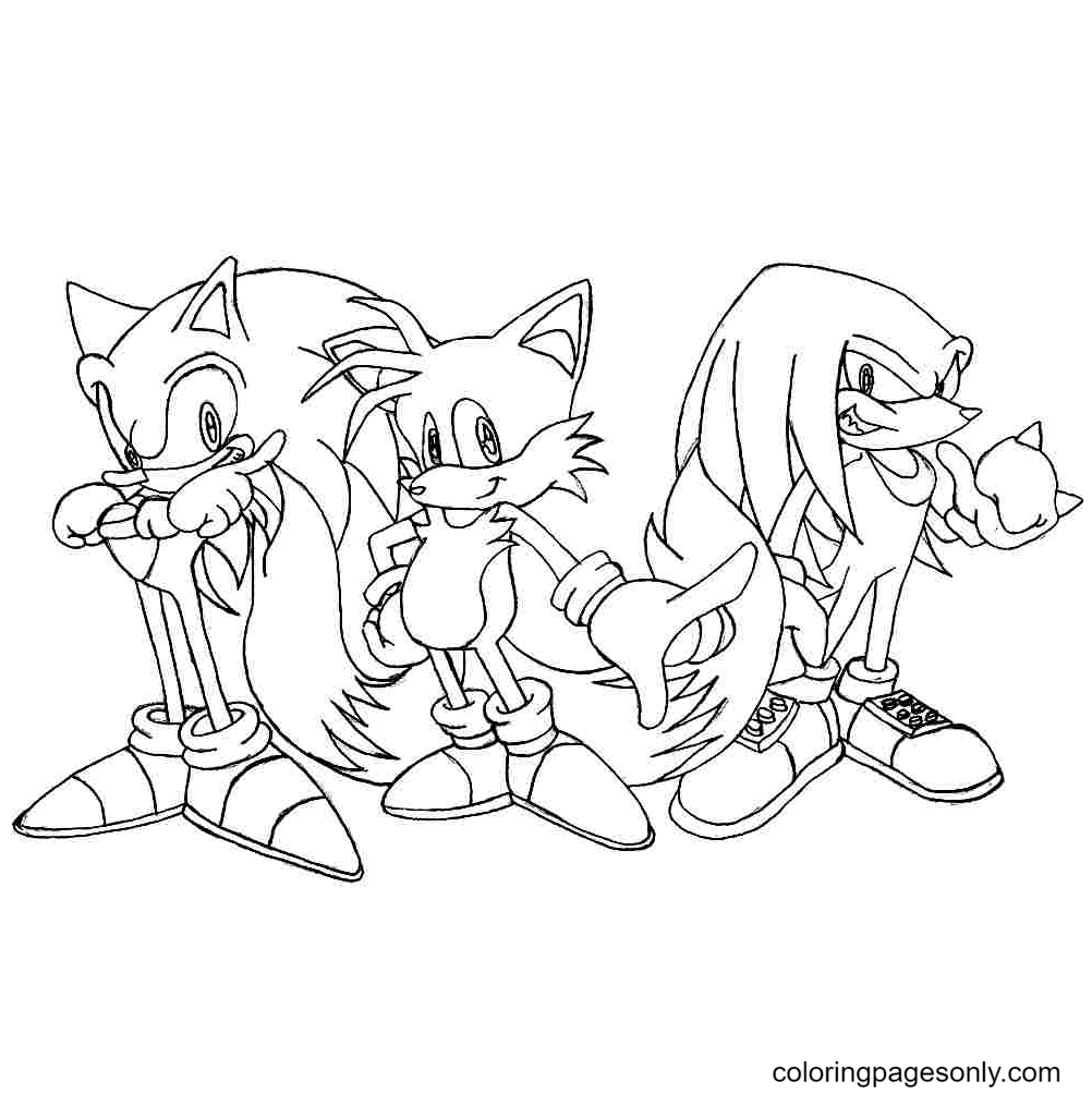 Knuckles Sonic And Tails Coloring Page Free Printable Coloring Pages