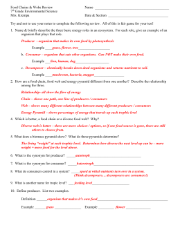 Lab Worksheet Oh What A Tangled Web We Weave Breadandhearth