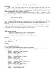 Lab Worksheet Oh What A Tangled Web We Weave doc Lab Worksheet Oh 