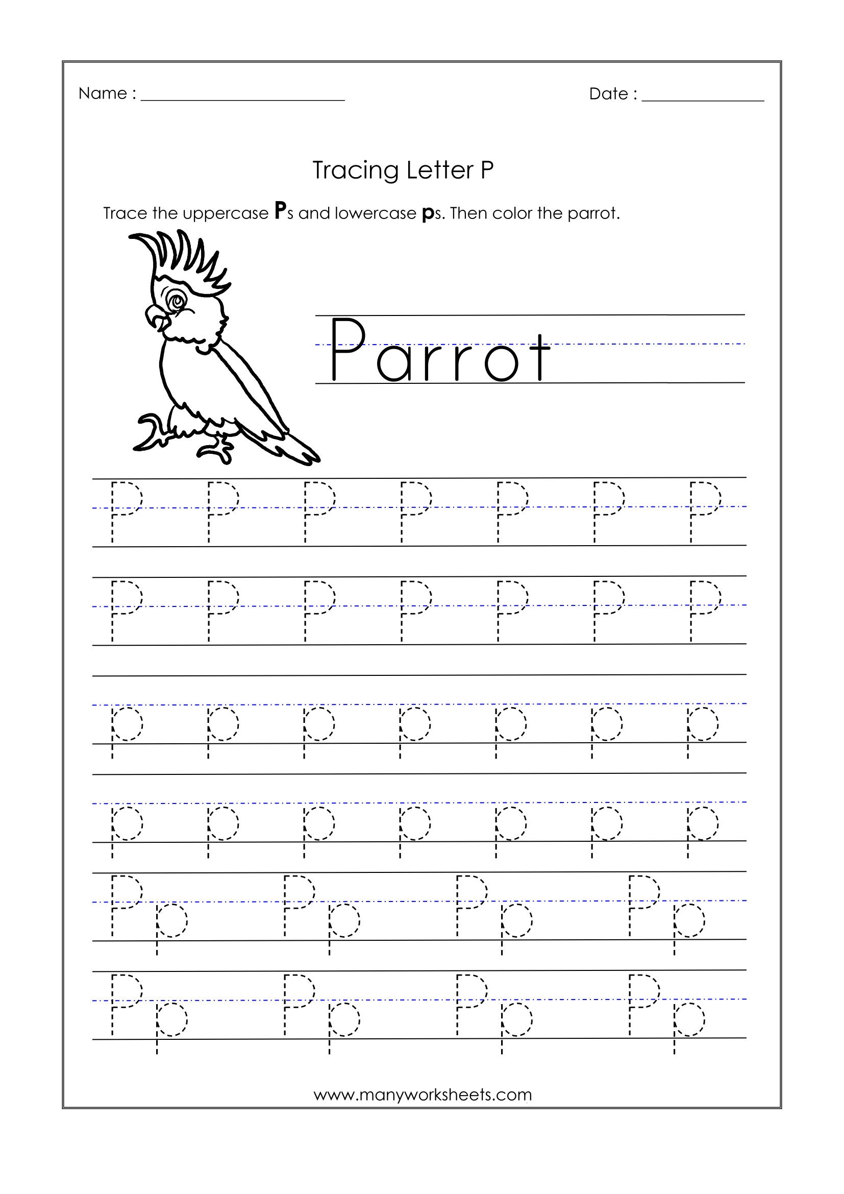 Letter P Tracing Worksheets LettersWorksheets