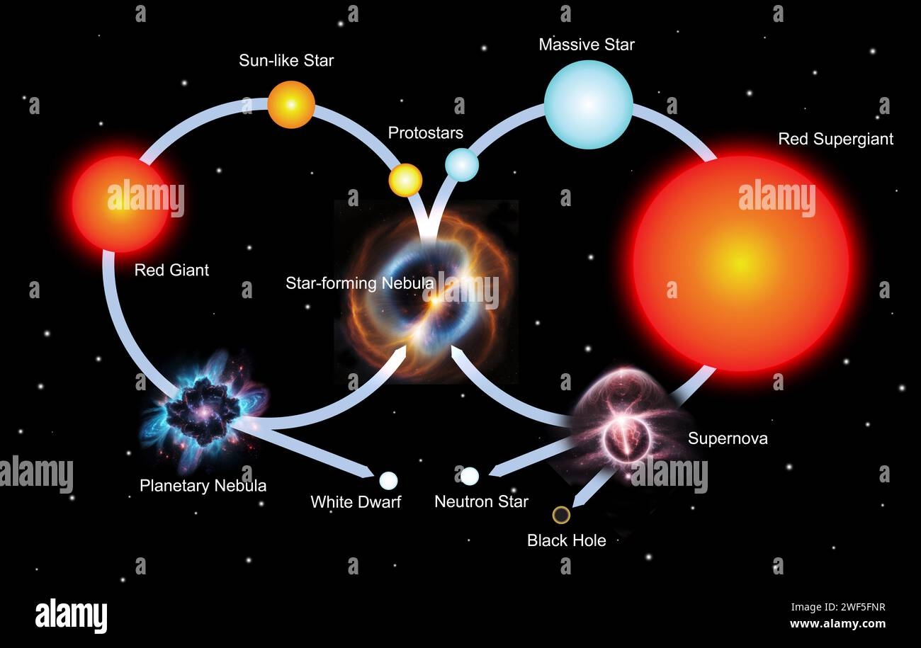 Life Cycle Of Stars Schematic Worksheet Free Worksheets Printable