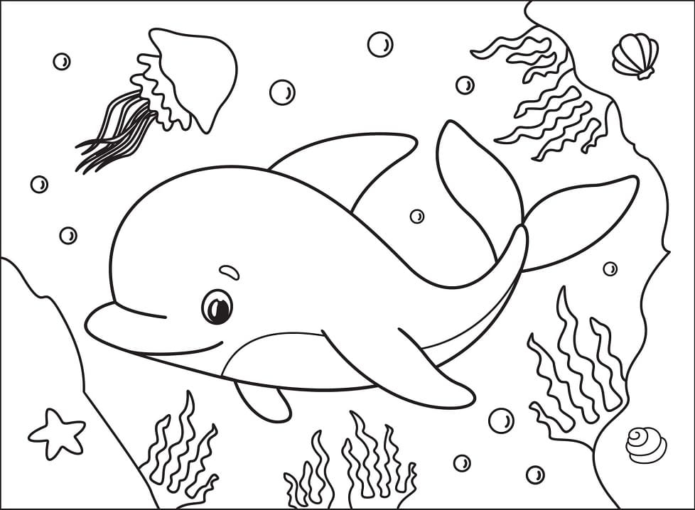 Little Dolphin Coloring Page Free Printable Coloring Pages For Kids
