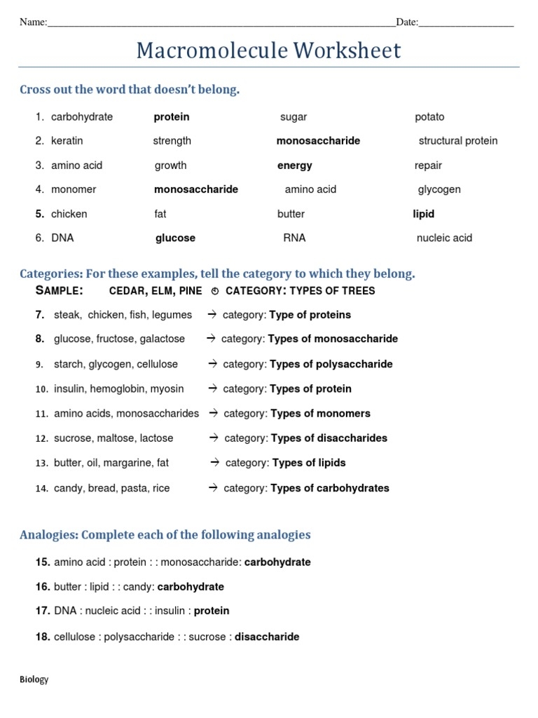 Macromolecules Review Worksheet PDF Macromolecules Carbohydrates