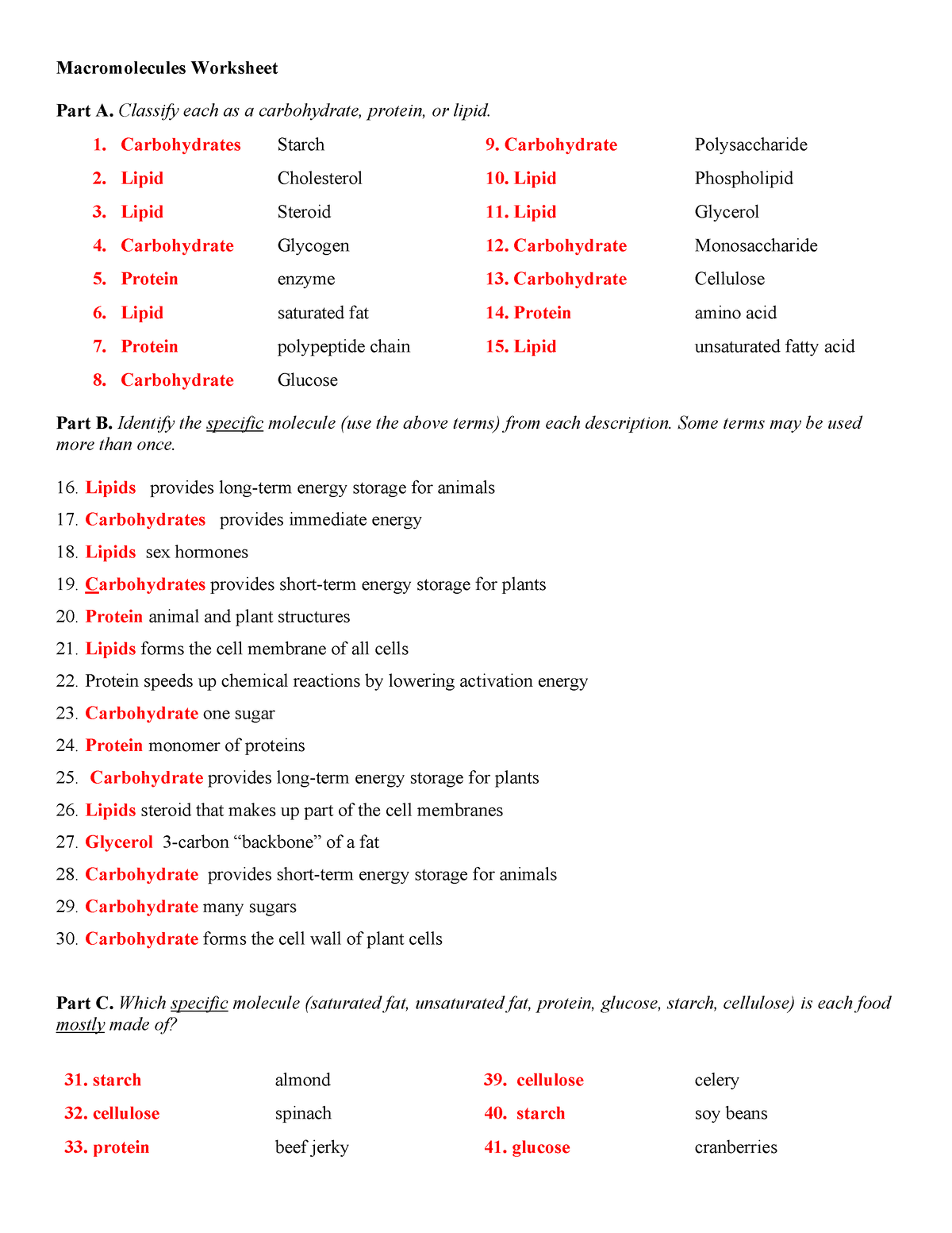Macromolecules Worksheet PDF Macromolecules Polysaccharide 