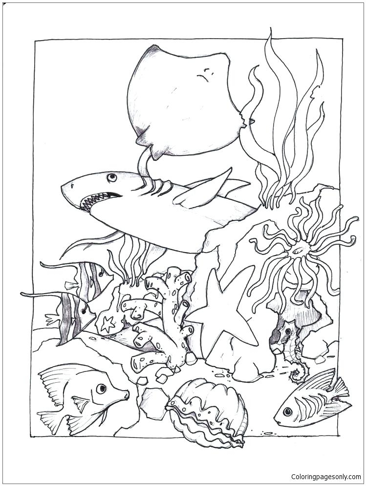 Marine Life Coloring Pages At GetColorings Free Printable 