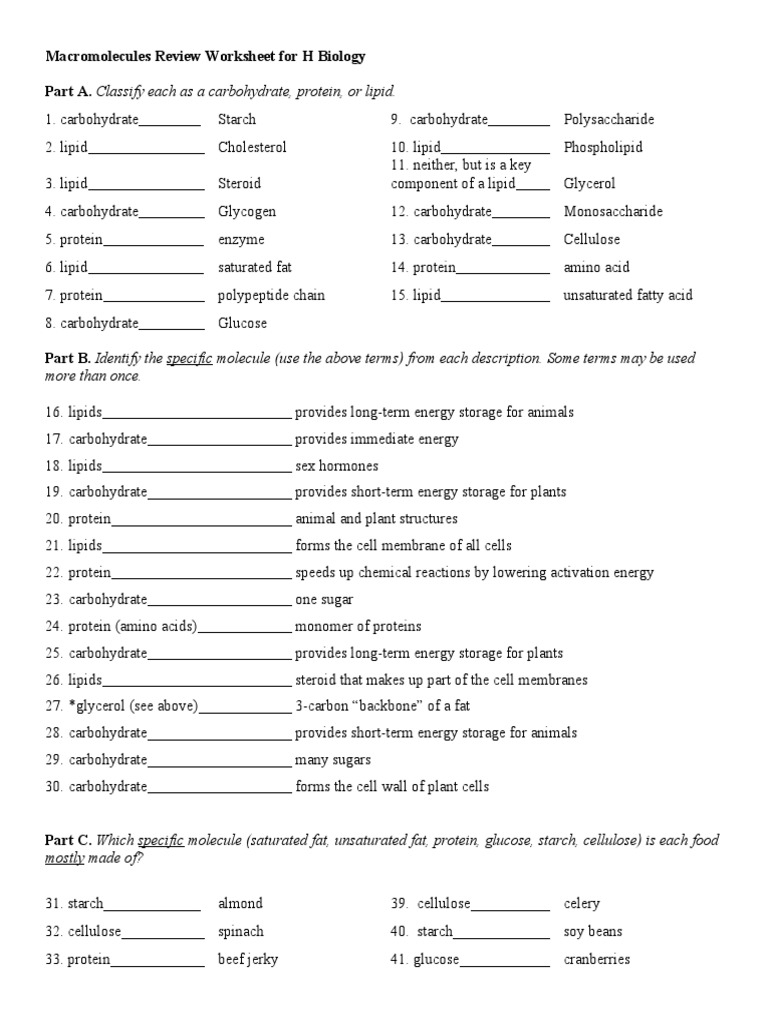 Marocmolecule Review Worksheet Answer Key PDF Carbohydrates 