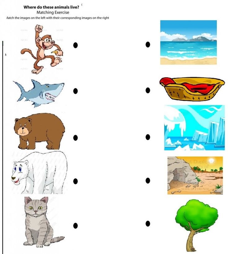 Matching Animals To Their Habitats Printables Printable Word Searches