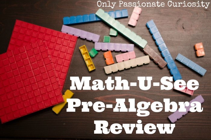 Math U See Worksheets Library