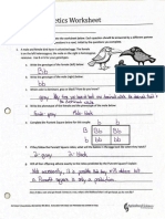 Mendelian Genetics Key PDF Worksheets Library