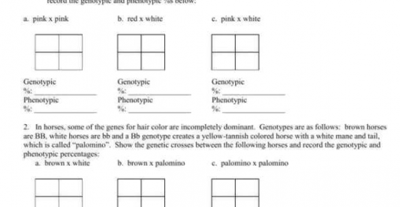 Mendelian Genetics Worksheet Answers Pdf Free Worksheets Samples