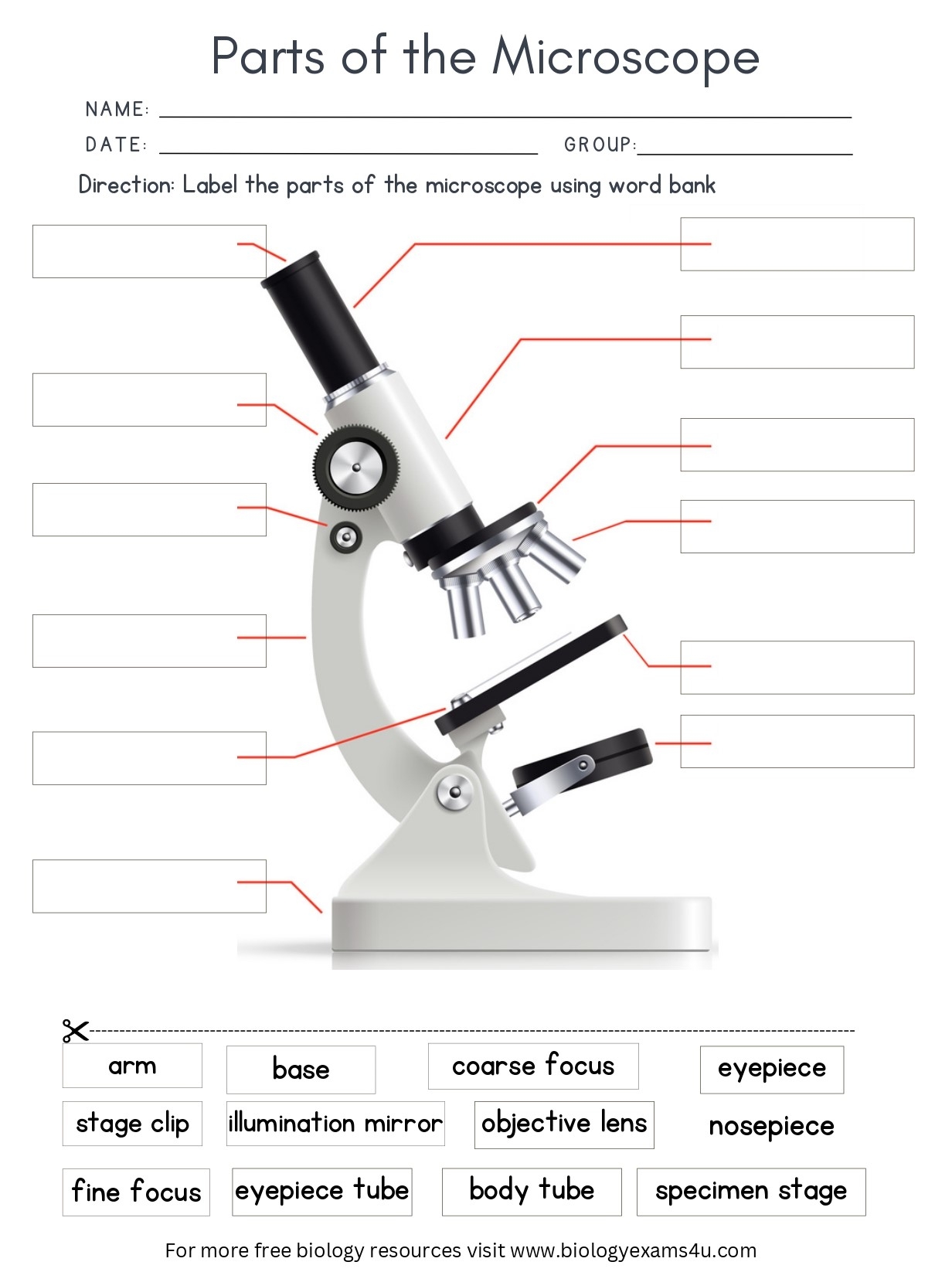 Microscope Parts Labeling Activity Storyboard That Worksheets Library