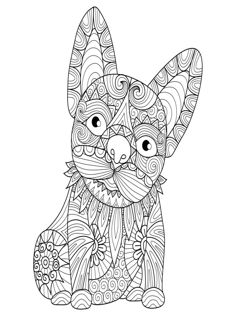 Mindful Coloring Pages Animals Coloring Pages