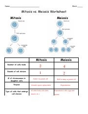 Mitosis Vs Meiosis Chart pdf Name Block Mitosis Vs Meiosis 