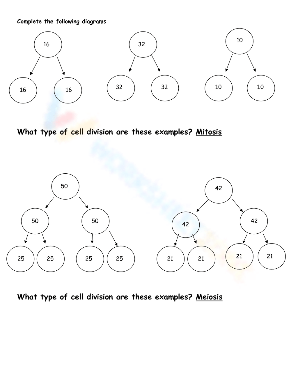 Mitosis Vs Meiosis Flipbook Math In Demand Worksheets Library