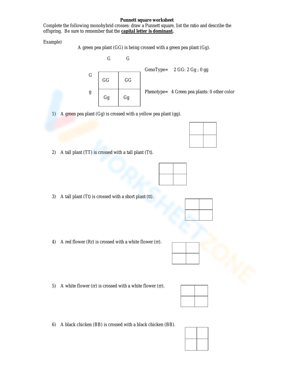 Monohybrid Cross Punnett Square Worksheet Student Handouts 