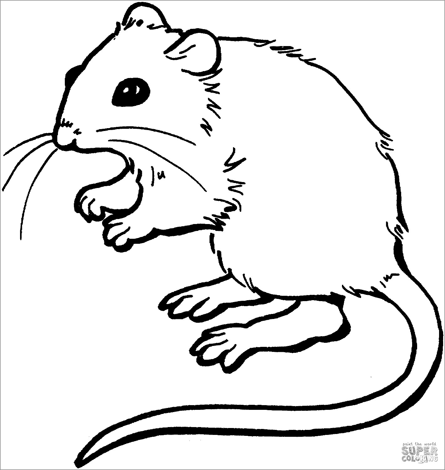 Mouse Coloring Pages ColoringBay