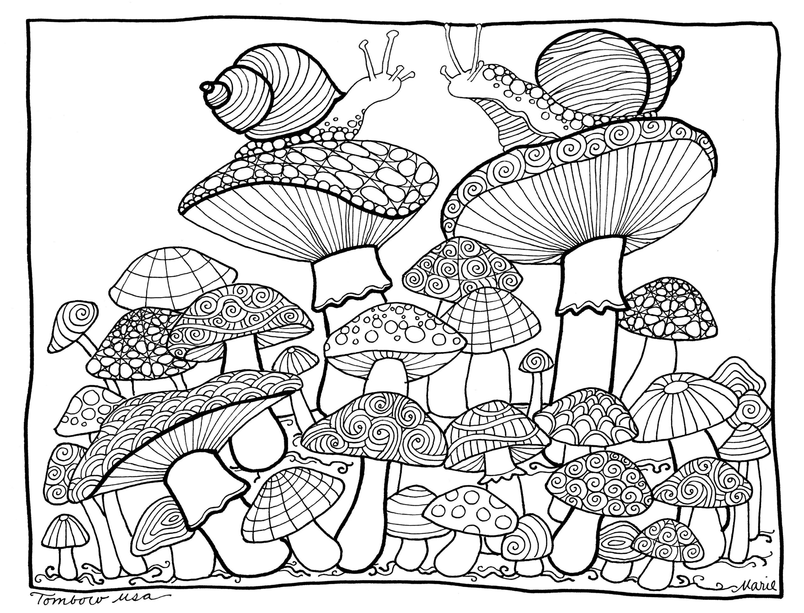 printable mushroom pictures to color