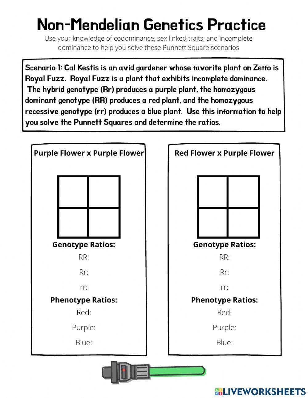 mendelian genetics worksheet with answers pdf