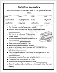 Nutrition Vocabulary Worksheet EnglishBix