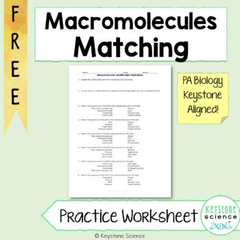 macromolecule worksheet
