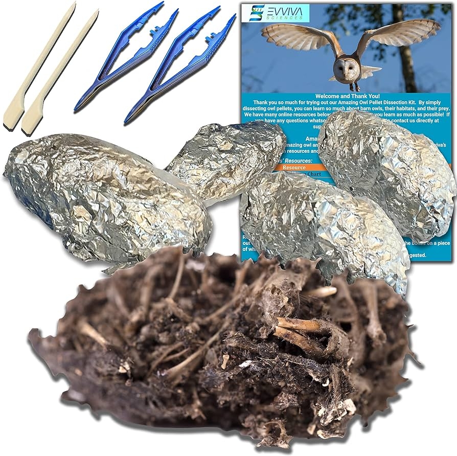 Owl Pellet Dissection Mini Kit Carolina Biological Supply 