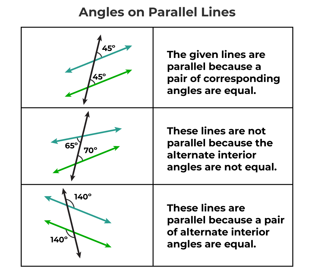 Parallel Lines And Transversals Physics Wallah Worksheets Library