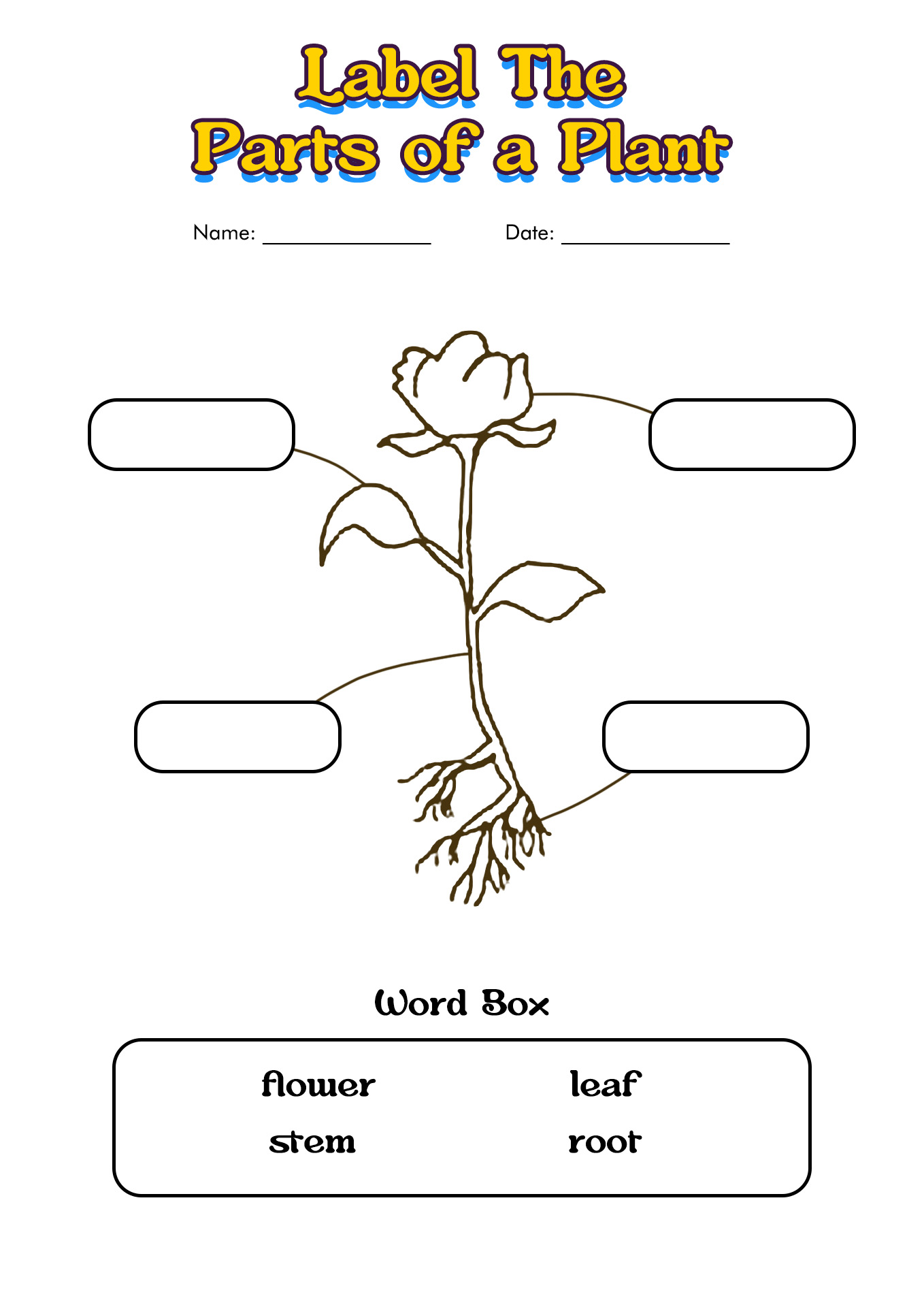Parts Of A Plant Worksheet