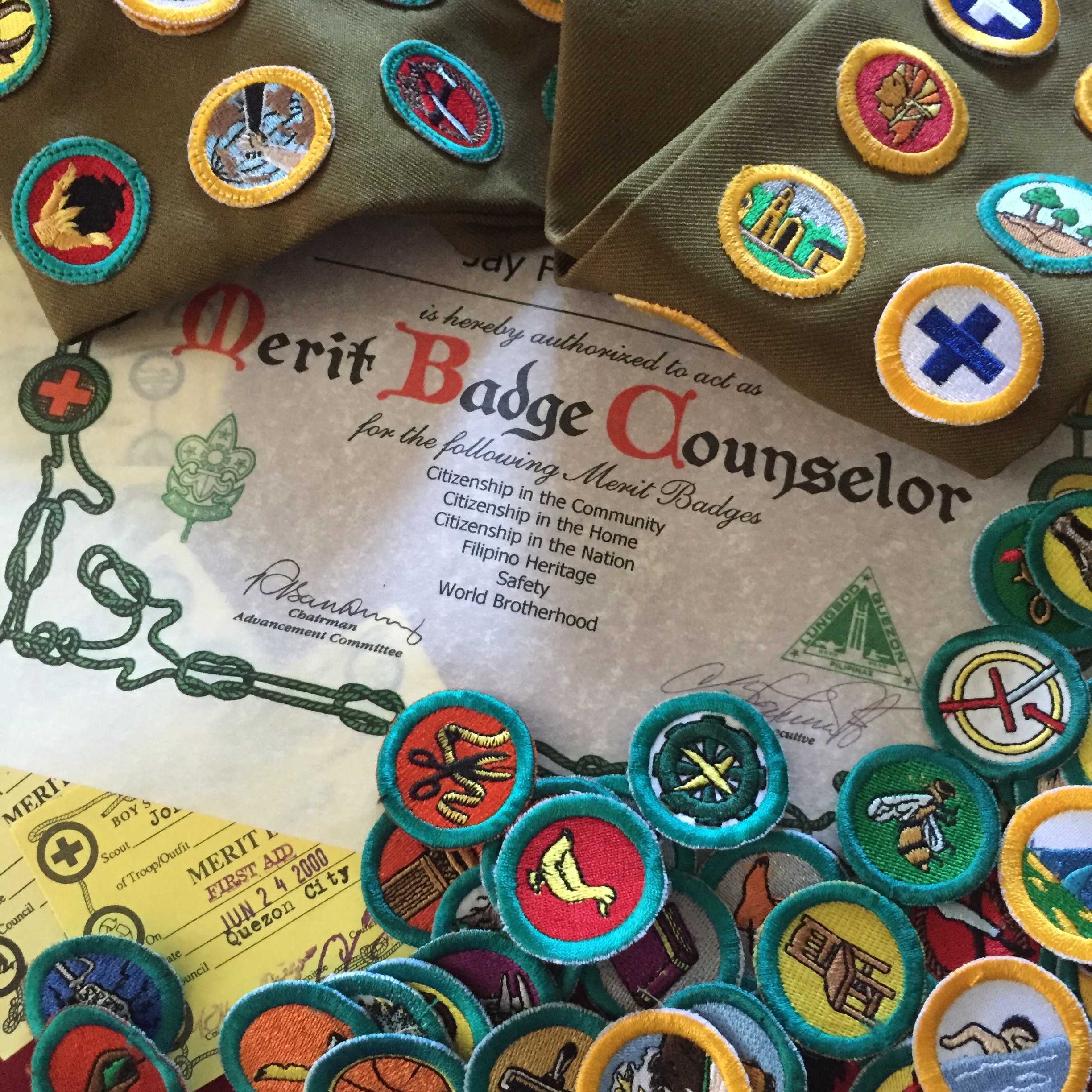 PDF Lifesaving Merit Badge Workbook Peyton Lamb Academia edu 
