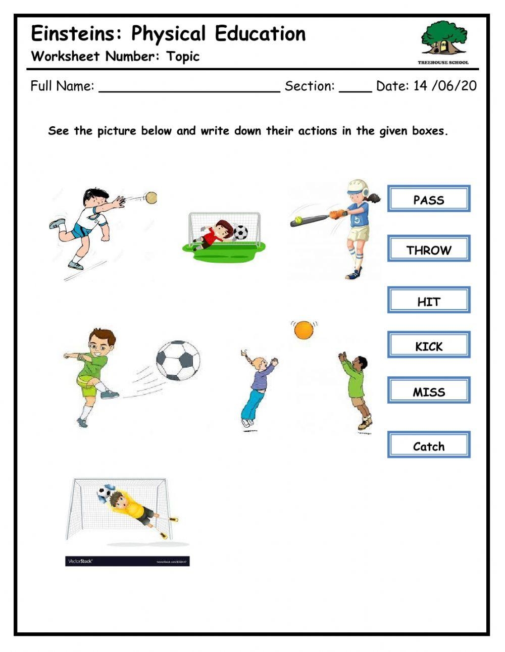 PE Cover Lesson Sport As A Job Worksheet Worksheet Worksheets Library
