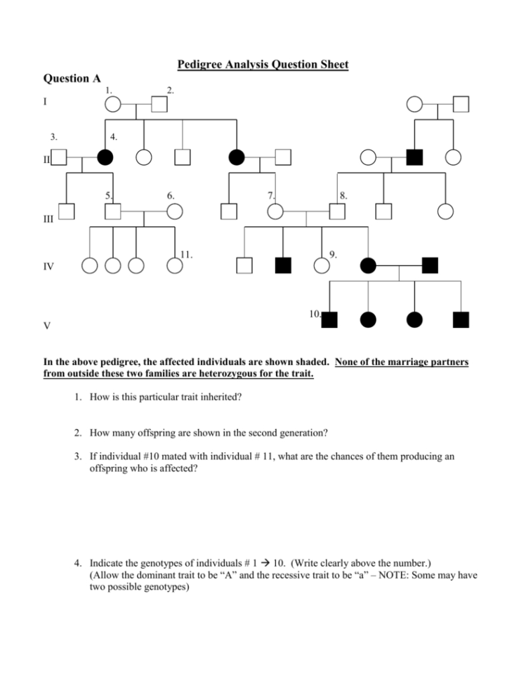 Pedigree Analysis Worksheet Answers Db excel