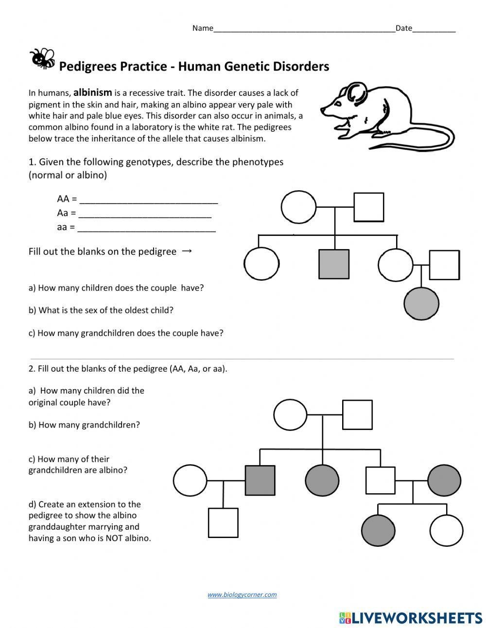 Pedigree Charts Worksheet Live Worksheets Worksheets Library
