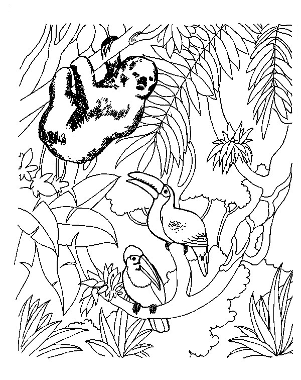 Peru Coloring Pages Best Coloring Pages For Kids