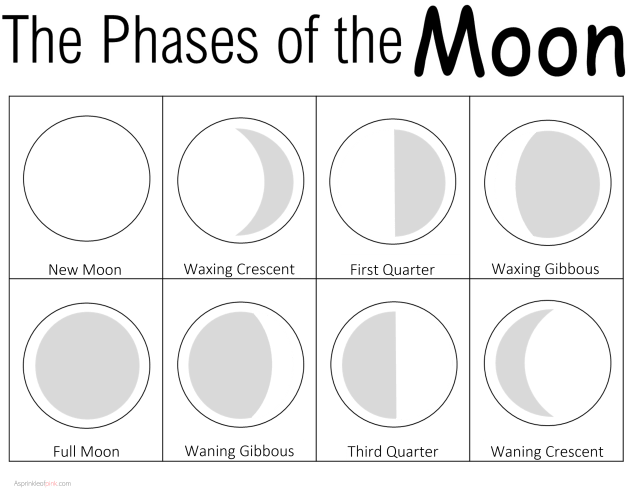 Phases And Eclipses Of The Moon Worksheets Library