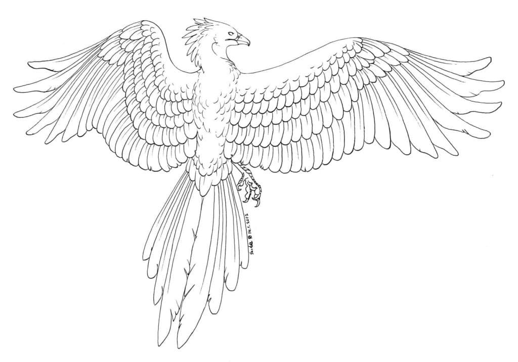 Phoenix 9 Coloring Page Free Printable Coloring Pages For Kids