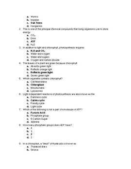 photosynthesis & cellular respiration worksheet answer key