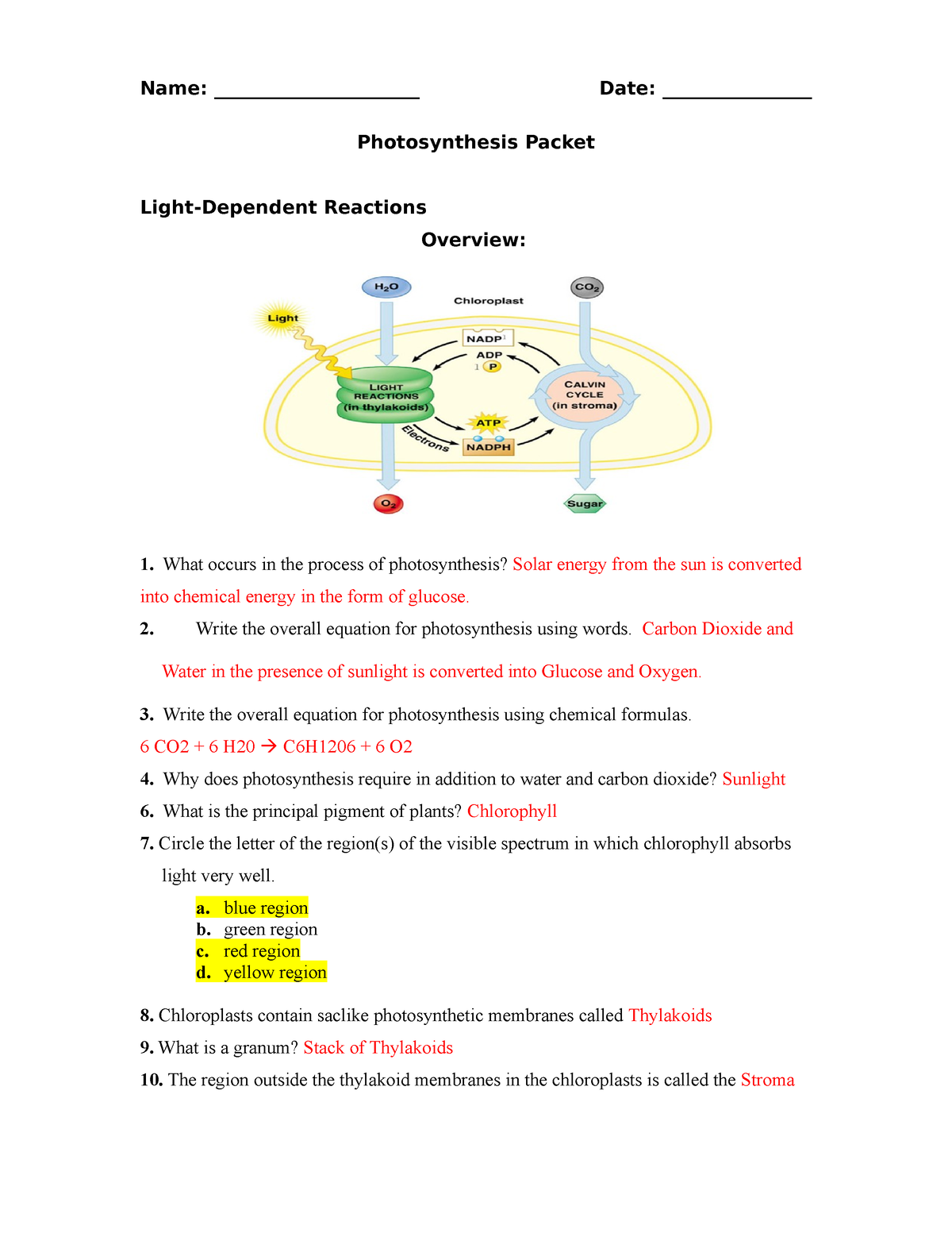 photosynthesis worksheet answers