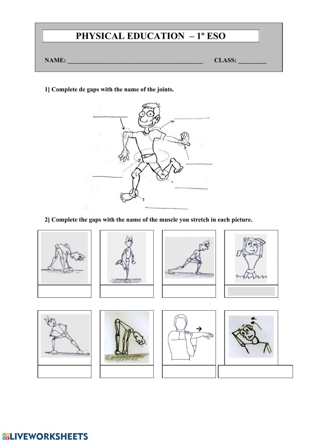 Physical Education Printables Lessons Resources TeacherVision 