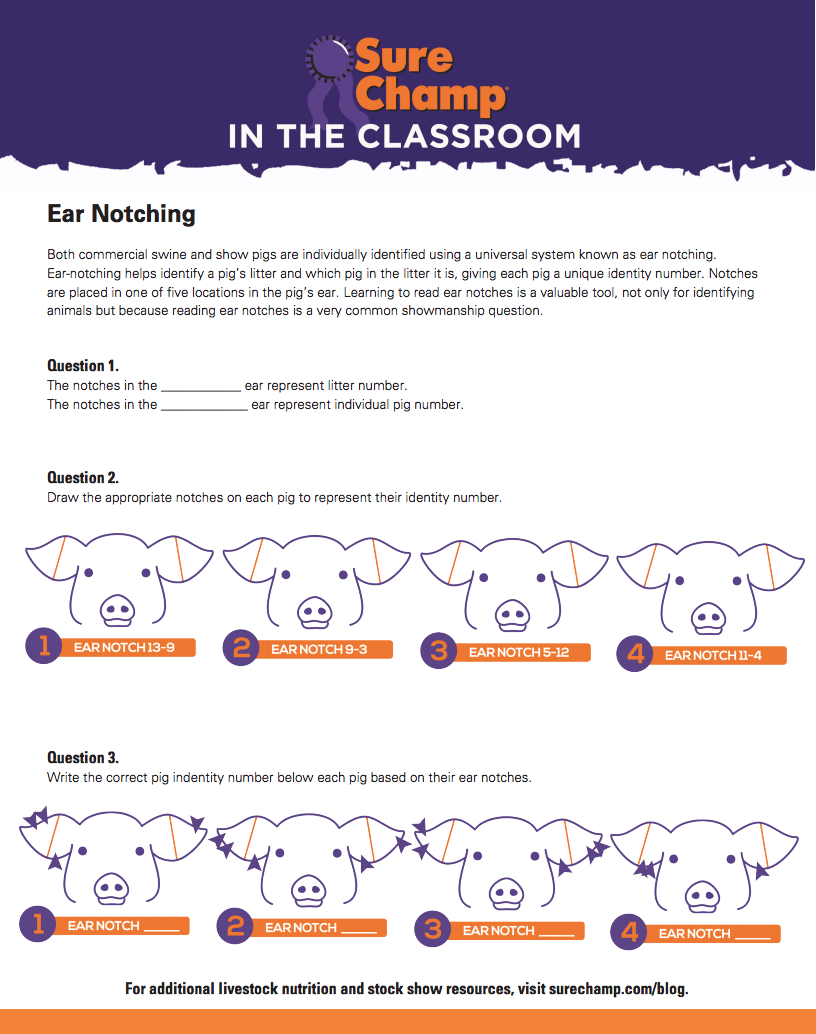 Pig Ear Notching Worksheet