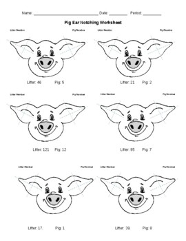 pig ear notching worksheet answer key