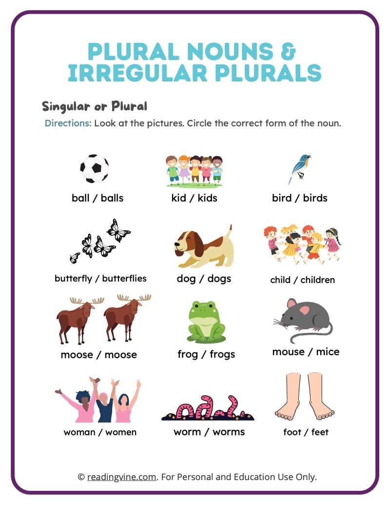 irregular and plural nouns worksheet