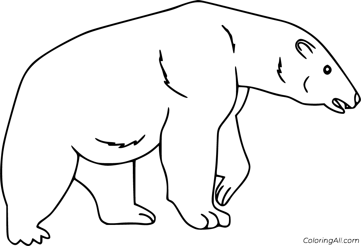 Polar Bear Coloring Pages ColoringAll