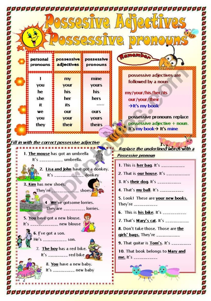 Possessive Nouns And Possessive Adjectives Worksheets 