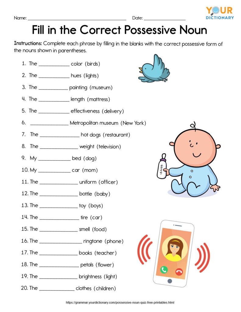 Possessive Nouns Exercises Grade 5 Noun Worksheets