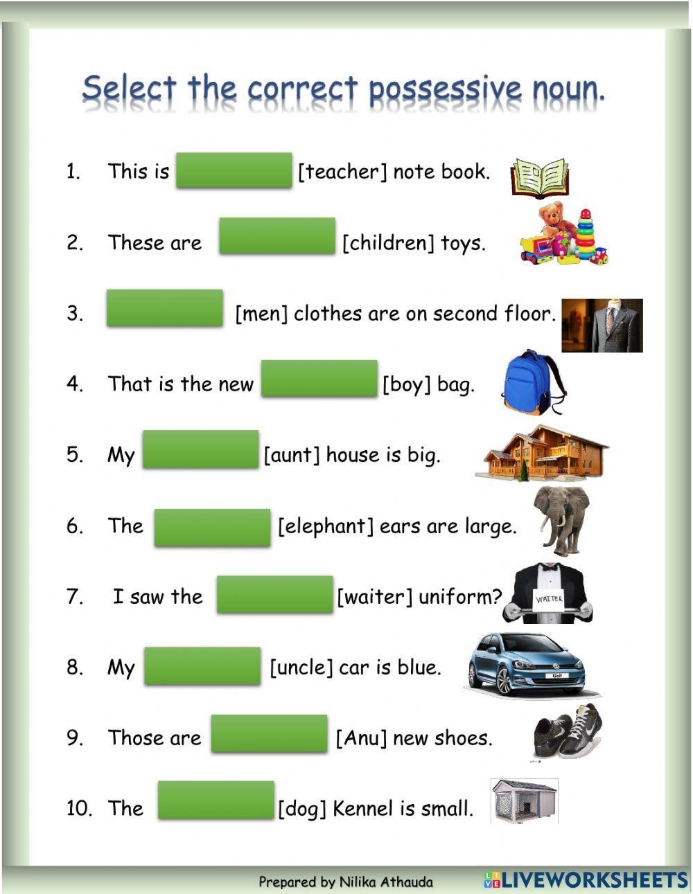 Possessive Nouns Worksheets Writing Singular Possessive Nouns