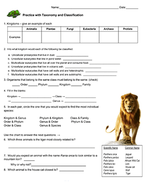 Practice Worksheet On Taxonomy And Classification Worksheets Library